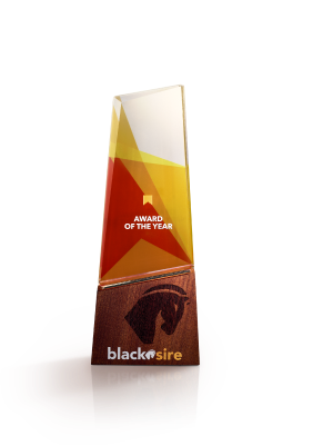 Blacksire Precision Payment Award