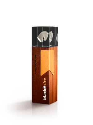 Blacksire Exquisite Service team Award